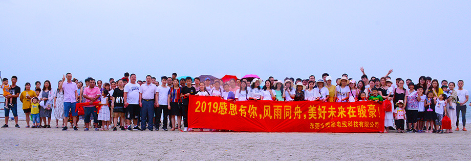 2019ɱŷŶӻ